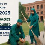 Punjab University daily wages jobs 2025 for Mali and Sanitary Workers – Apply by July 21