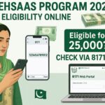Pakistani woman checking 8171 Ehsaas eligibility on phone with Rs. 25000 SMS confirmation