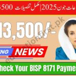 Pakistani woman checking BISP 13,500 payment status on phone via 8171 portal with CNIC in hand – June 2025
