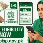 Pakistani woman checking 8171 BISP eligibility online